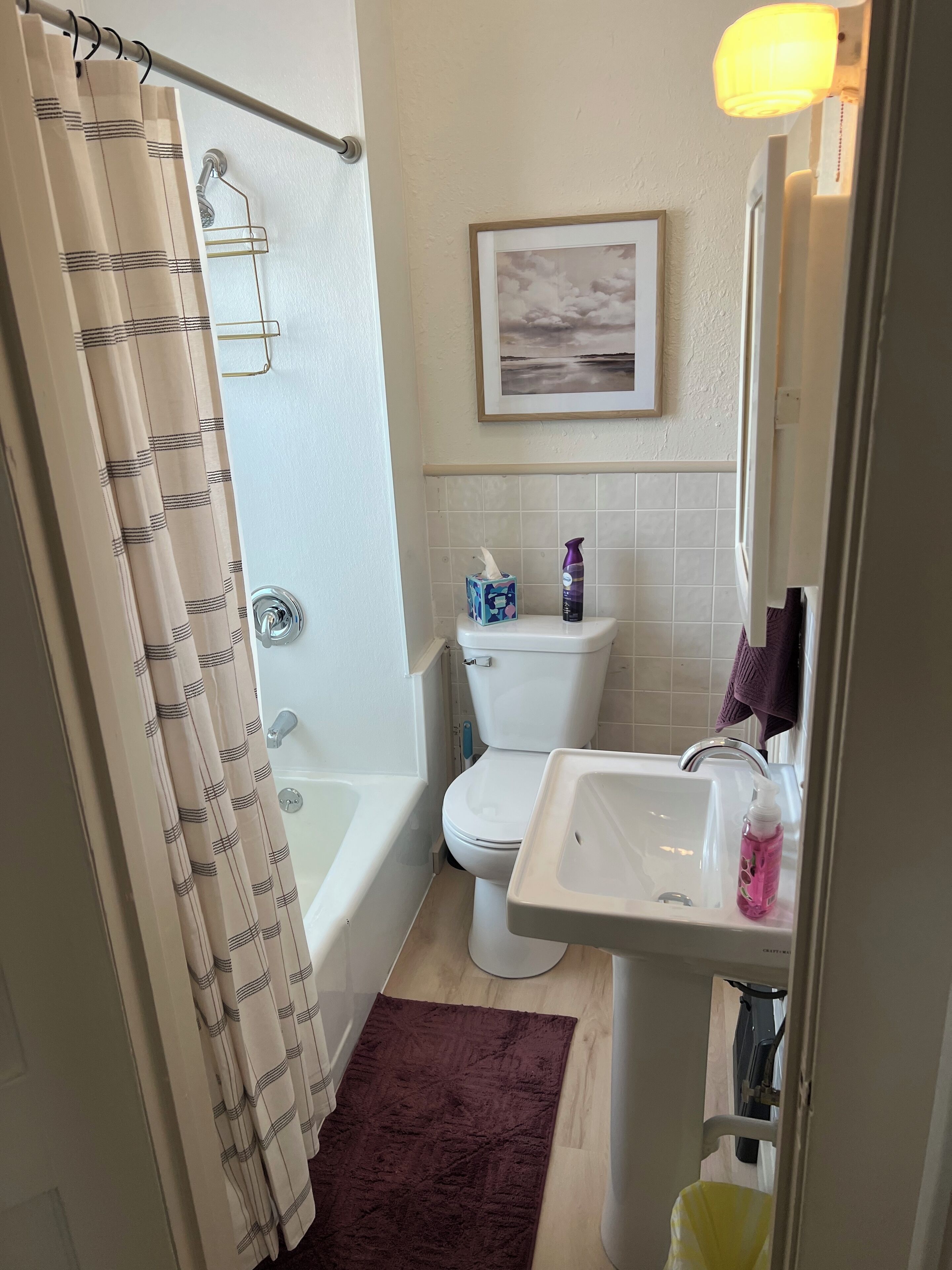 Towels, soap, toilet paper