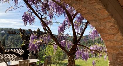 La Glycine at Mas de la Giralde. Continental breakfast included. Pool and views