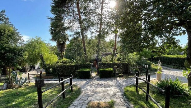 Un sendero de piedra que serpentea por un jardín cuidado, con diversas plantas y árboles.