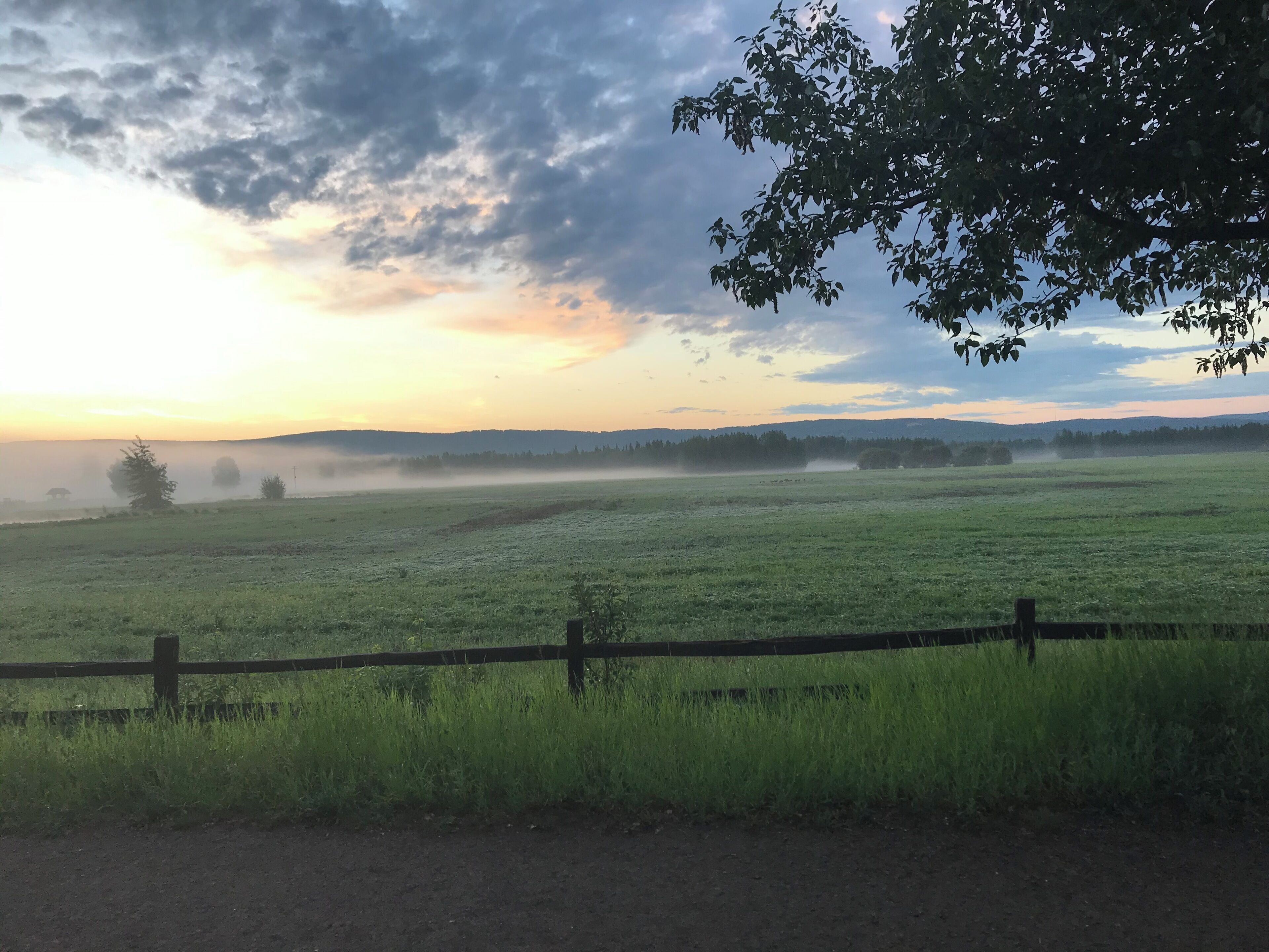 A rural landscape with a wooden fence, a grassy field, and a tree line in the distance.