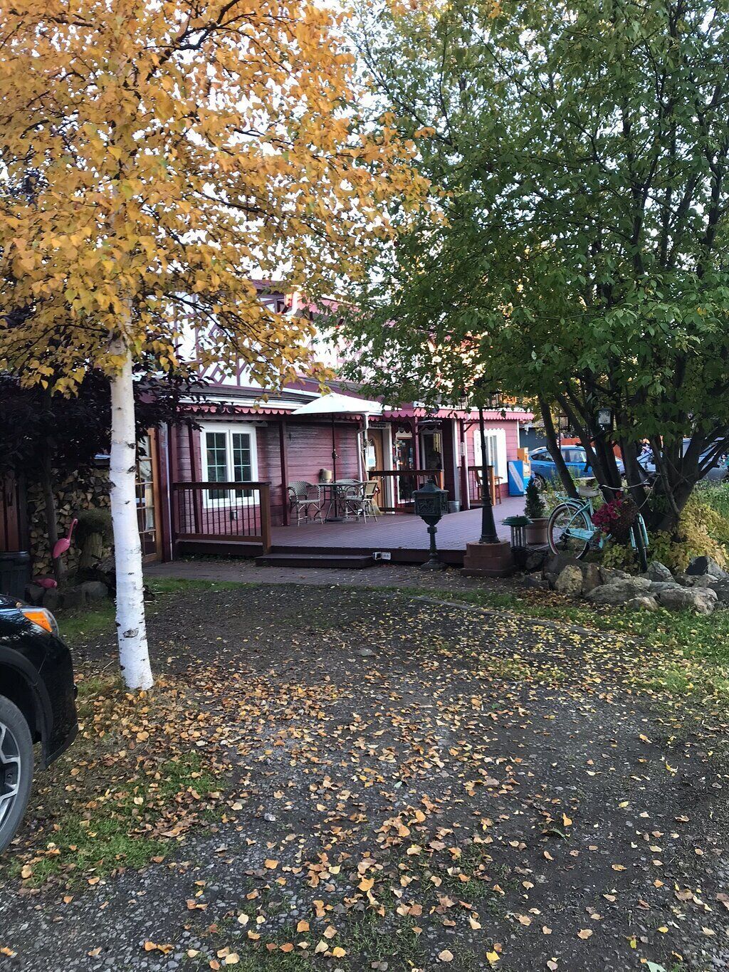 A rustic cabin with a porch, surrounded by trees with autumn leaves.
