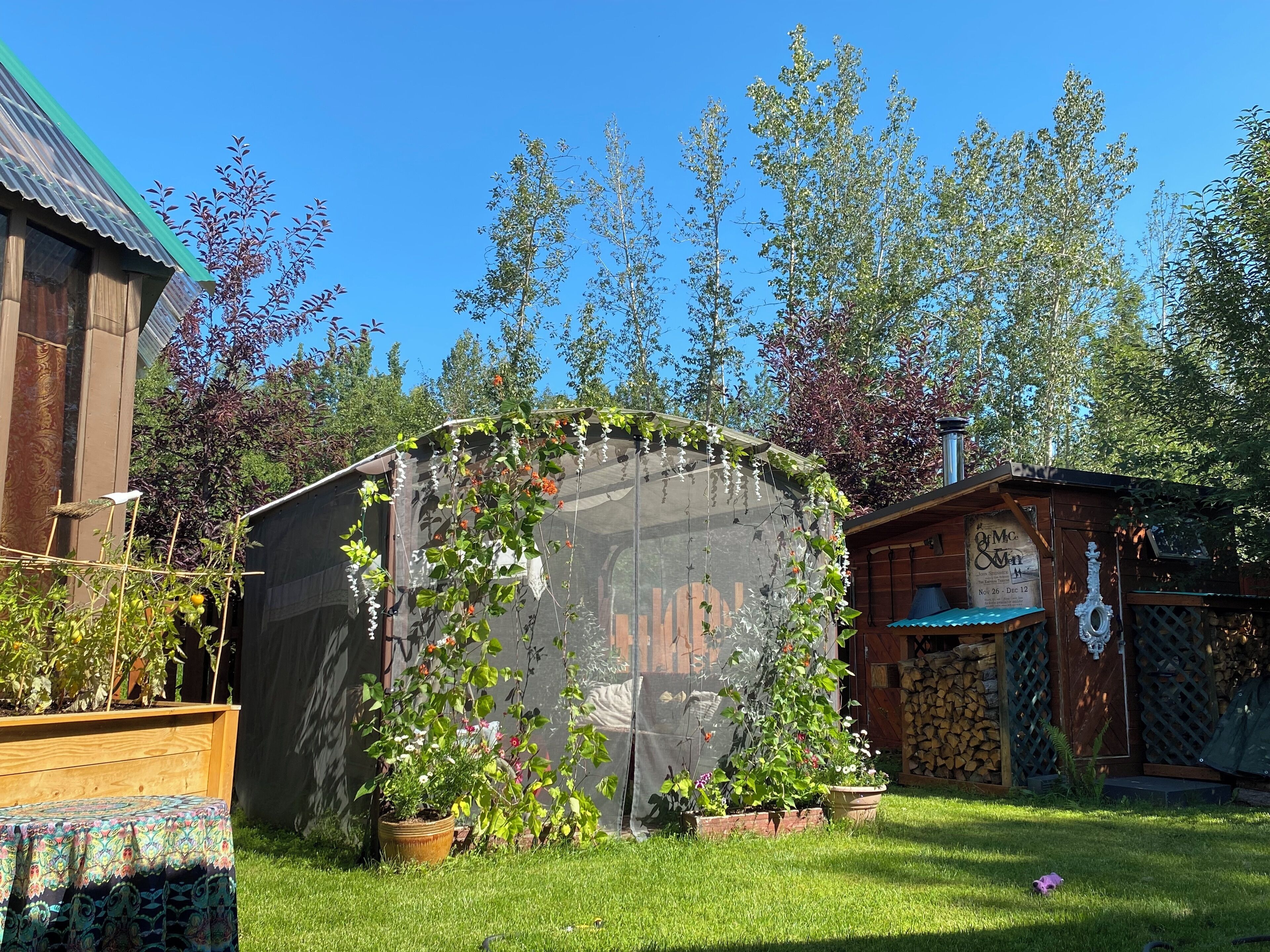 A rustic garden with a wooden shed, a covered area with climbing plants, and a small wooden structure with a sign.
