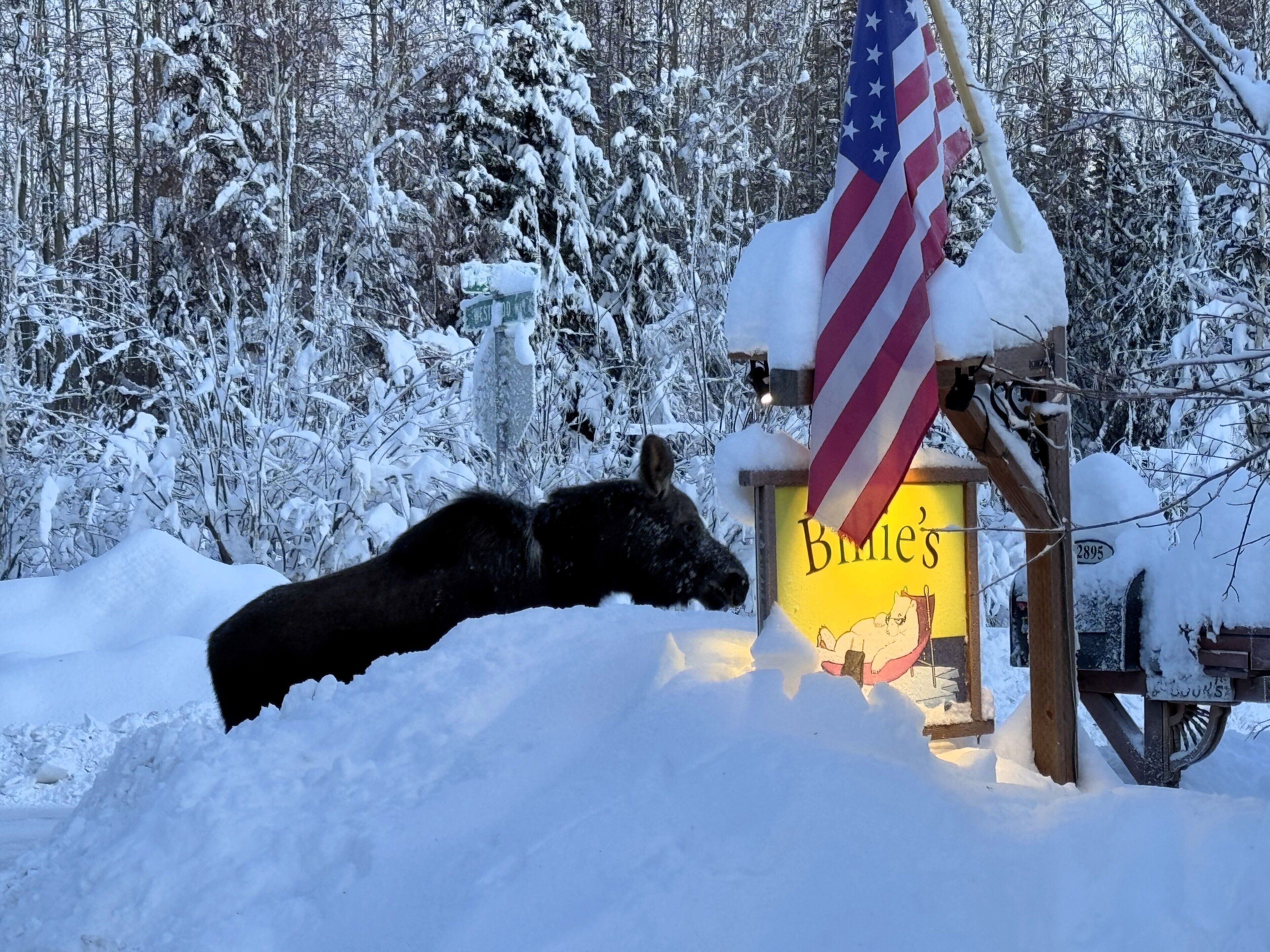 A snow-covered landscape with a wooden sign that reads "Bmie's" and an American flag.