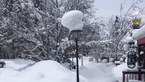 Un sentiero innevato che conduce a un edificio con un lampione e una panchina.