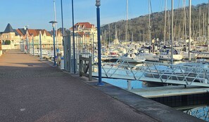 A marina with numerous boats docked, a paved walkway, and buildings in the background.