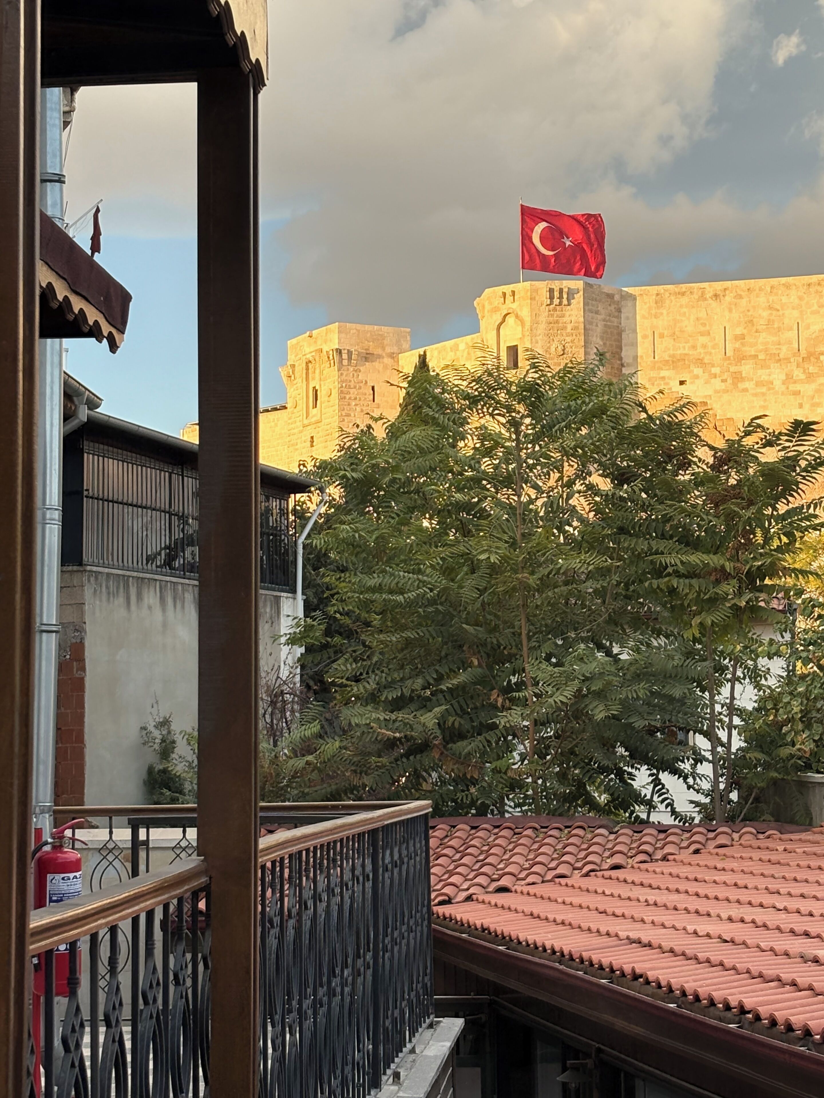 A building with a flag, a tree, and a tiled roof.