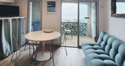 Studio 25 M2,VUE MER imprenable,CLIMATISE,300 M de la mer,résidence avec PISCINE