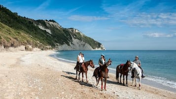 Horse riding