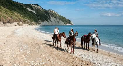 ⭐ SeaSide⭐ | 100 m dal Mare Love & Family Wi-Fi AC