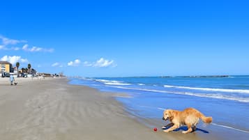 Am Strand, weißer Sandstrand