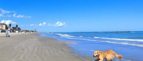 On the beach, white sand