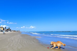 Aan het strand, wit zand