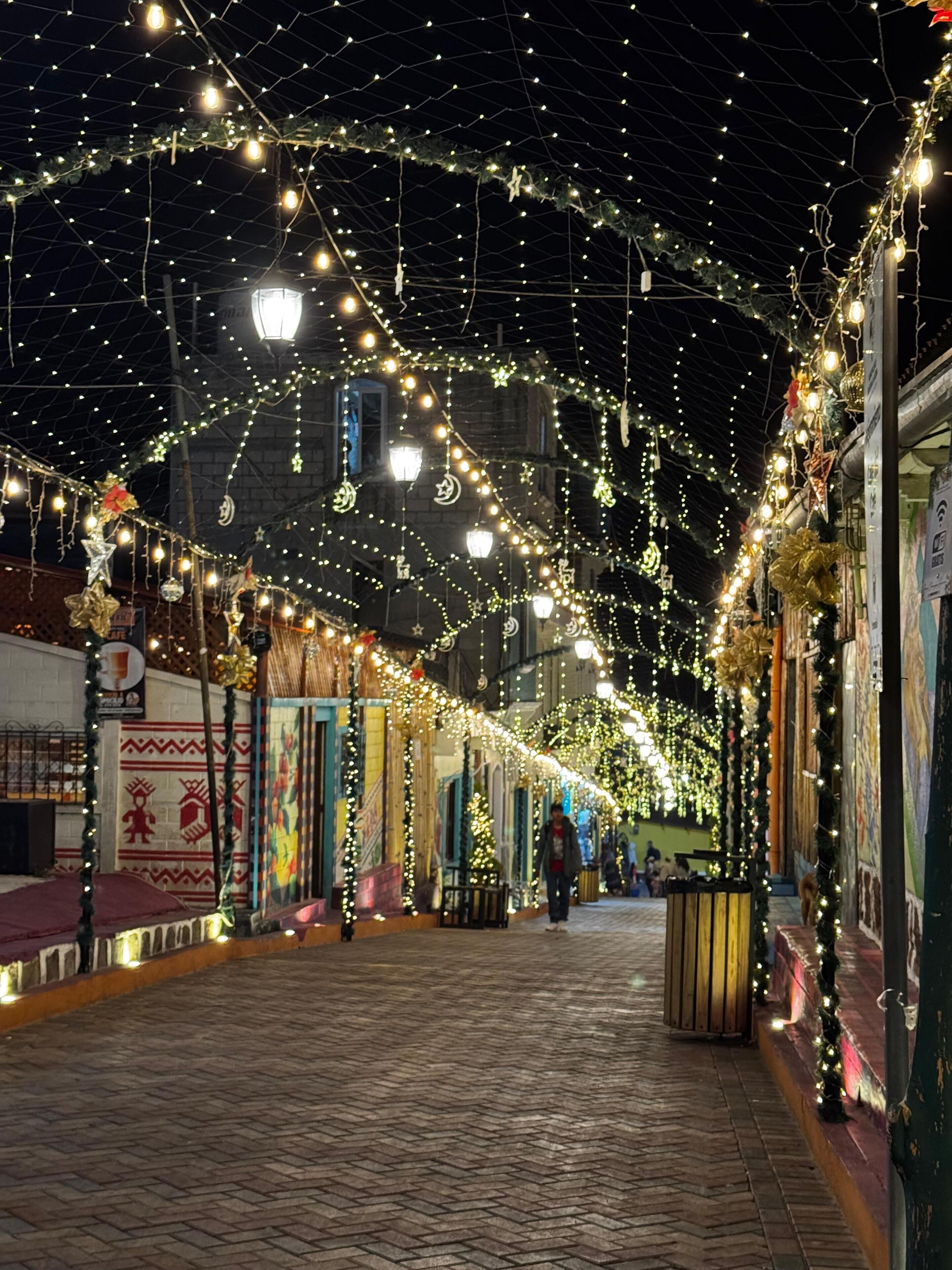 Una escena nocturna en la calle con luces decorativas y un camino adoquinado.