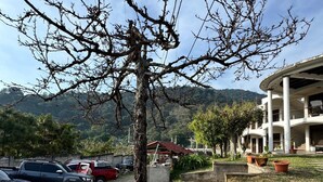 A parking area with several cars, a large tree, and a building with a white facade and columns.