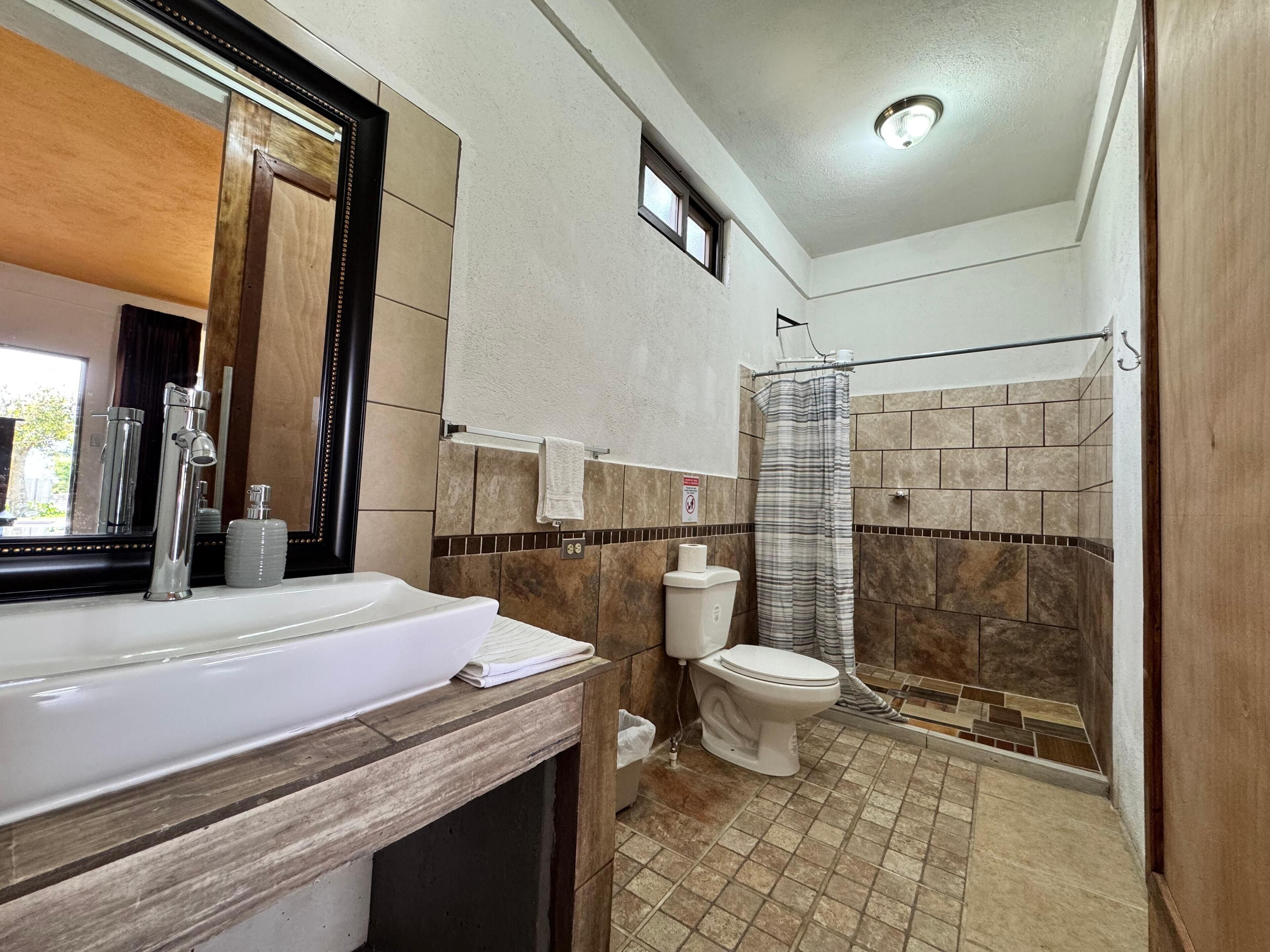 Une salle de bain avec un grand lavabo, des toilettes et un espace douche.