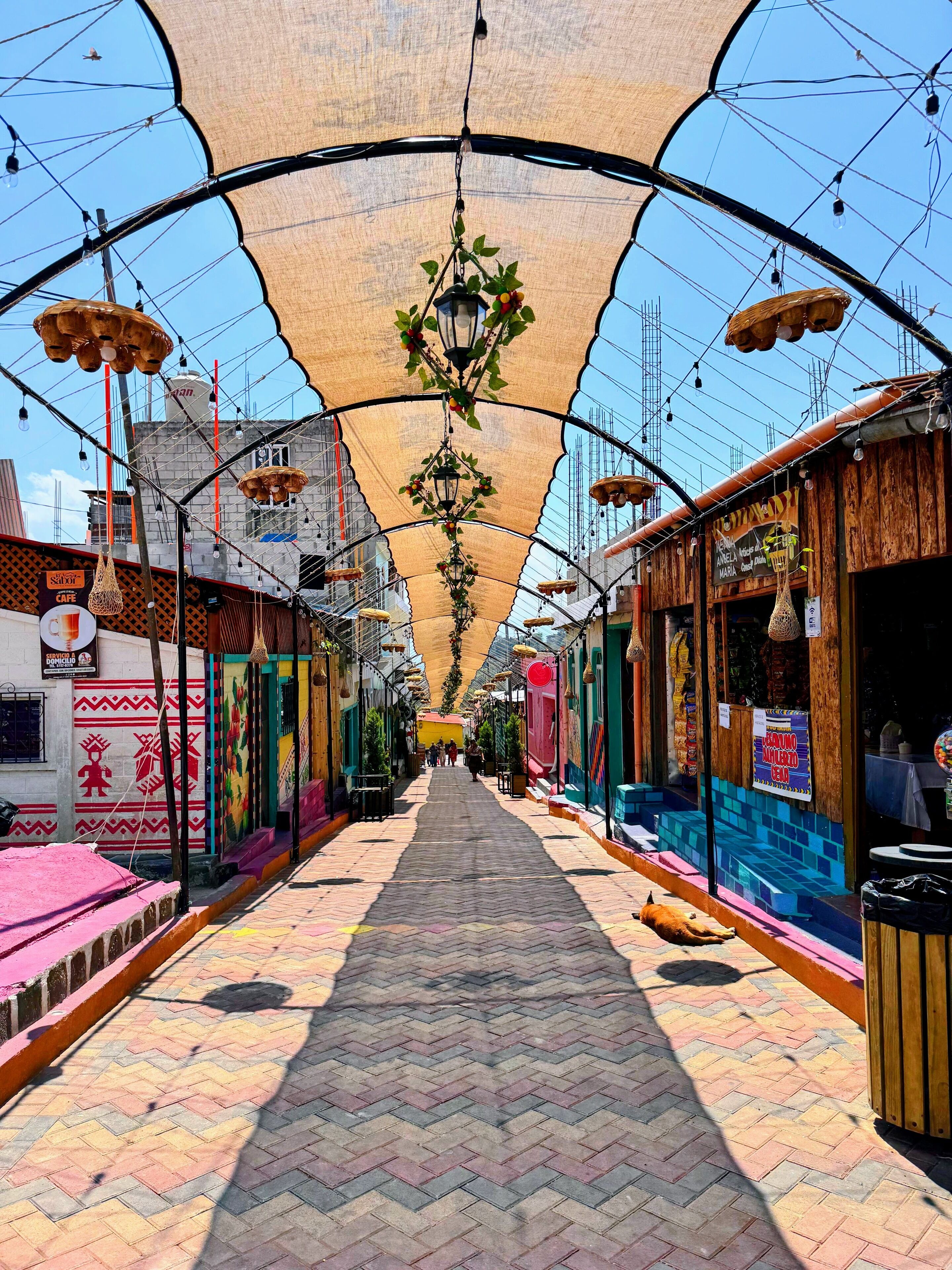 A covered pedestrian walkway with hanging lights and a central pathway.