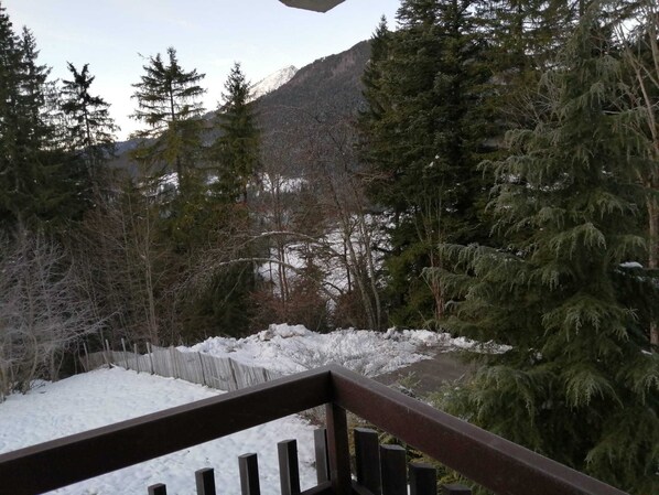 A snowy landscape with dense evergreen trees and a wooden fence. - Large south-facing studio (Saint-Pierre-de-Chartreuse)