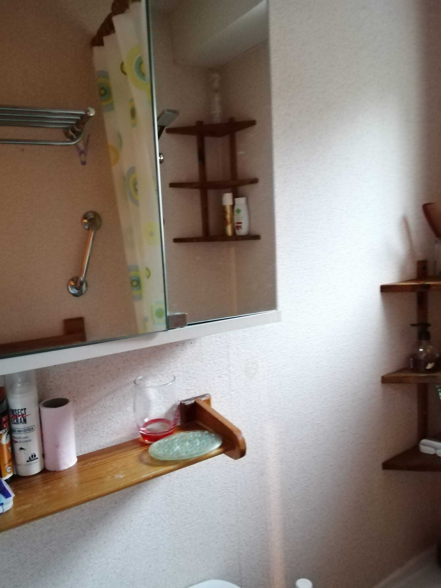 Un baño con espejo, estantes con artículos de aseo y zona de ducha.