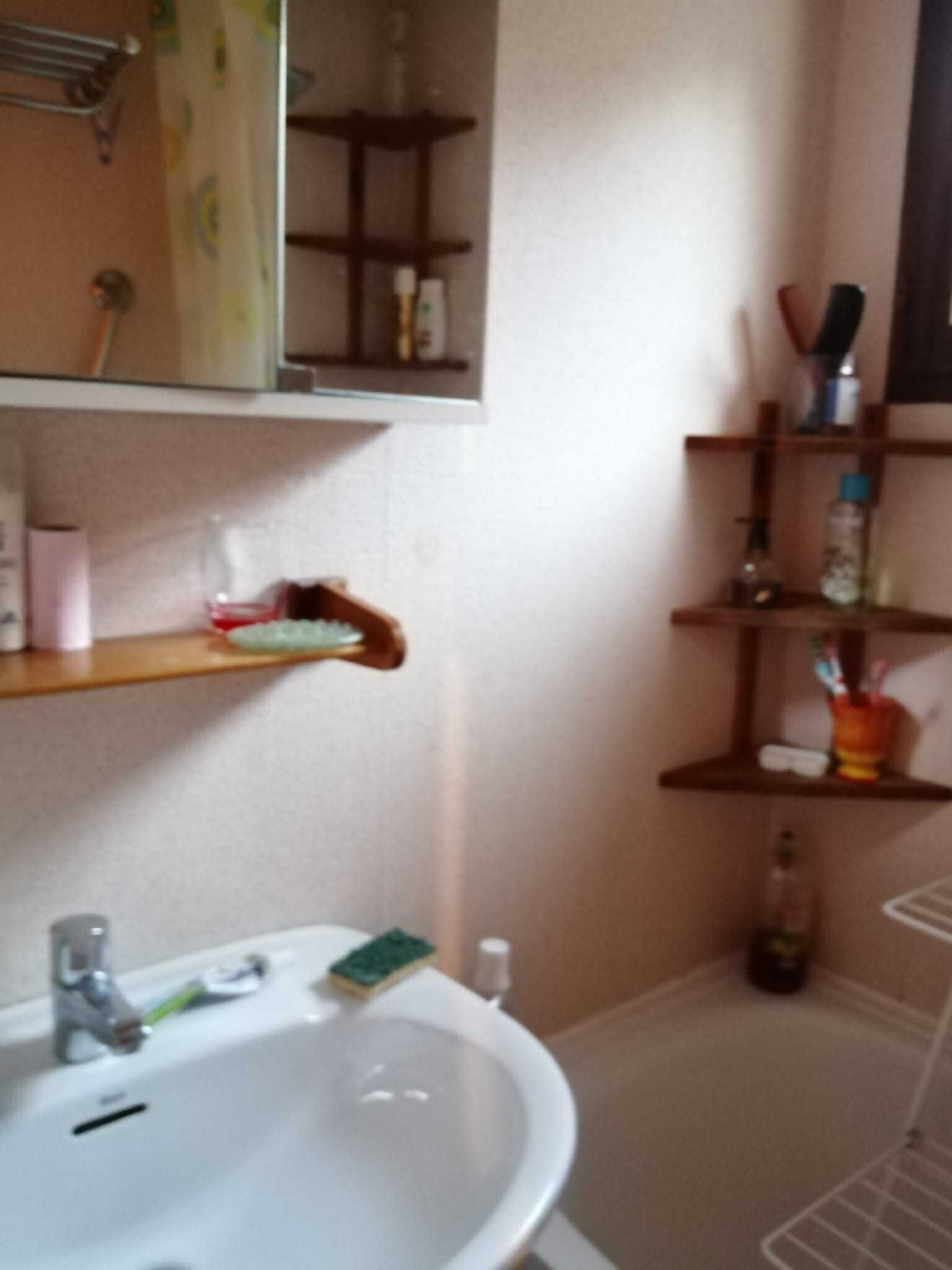 Une salle de bain avec un lavabo blanc, un miroir au-dessus et des étagères remplies de produits de toilette.