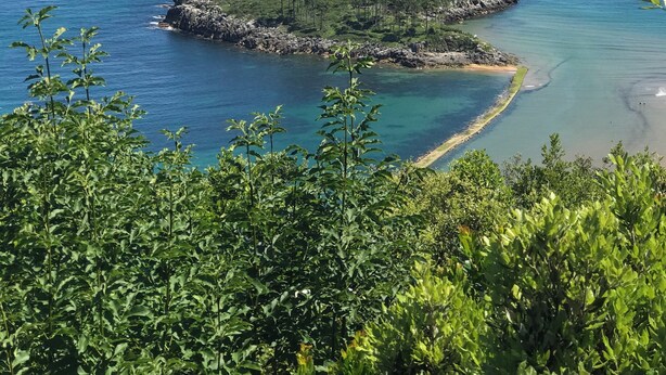 A coastal landscape with a small island surrounded by clear blue waters. - History, comfort, and unique style, just 2 minutes from the beach. (Lekeitio)