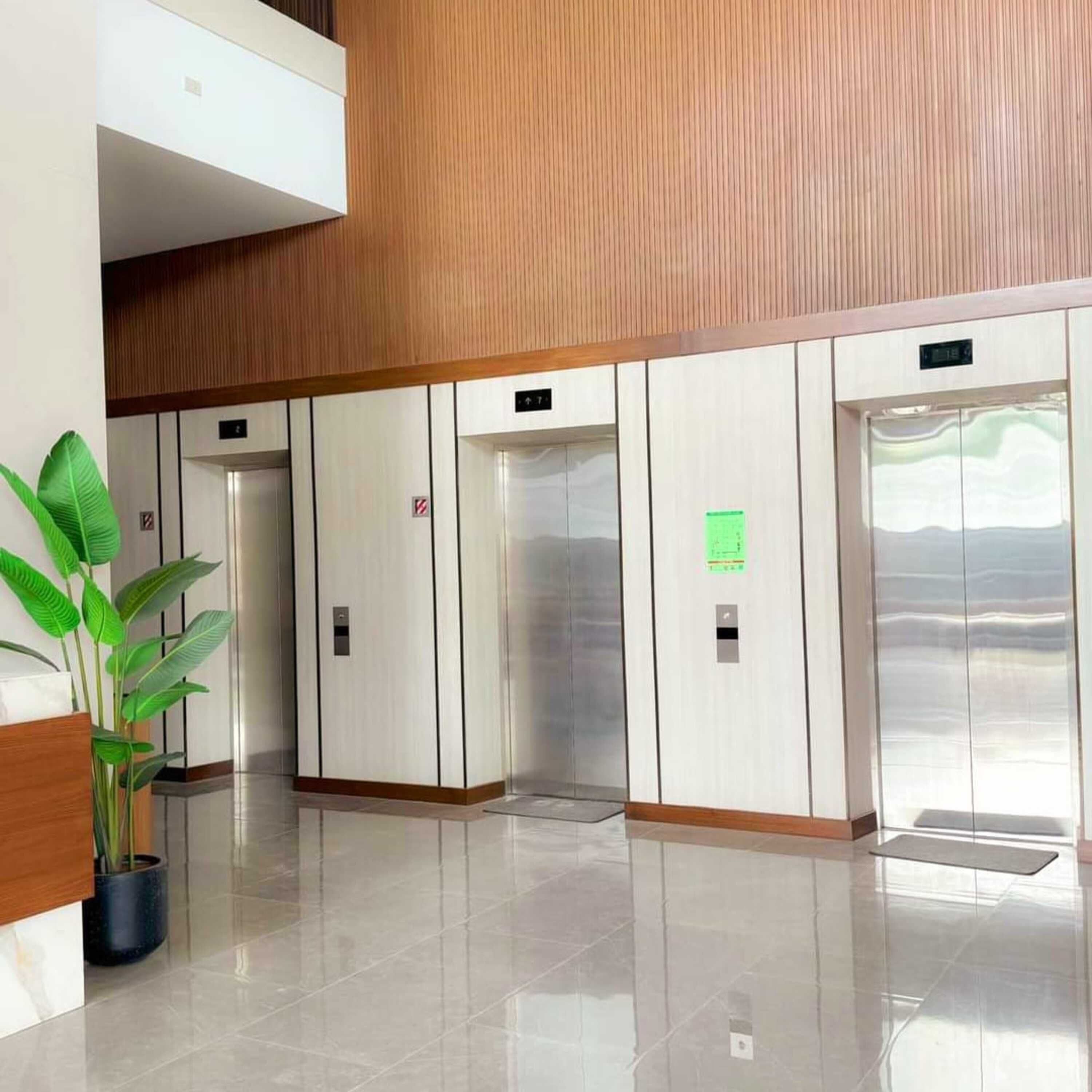 A modern elevator area with three elevators, a potted plant, and a polished floor.