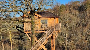Una casa árbol de madera con una escalera y un pequeño ventanal, rodeada de árboles.