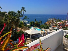 Vistas al jardín