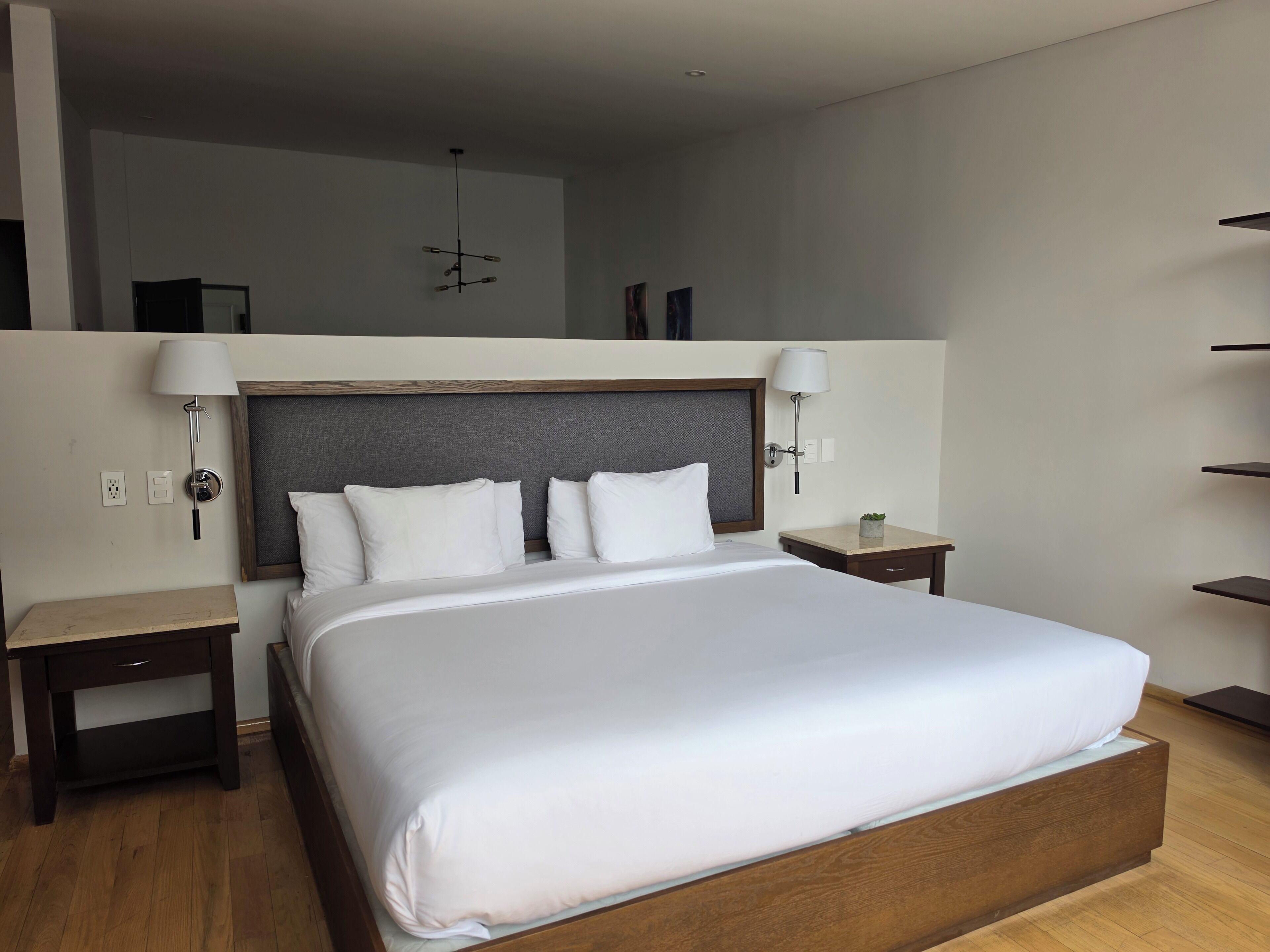 Una habitación de hotel moderna con una cama grande, mesitas de noche, una lámpara de pared y una planta pequeña en la mesita.