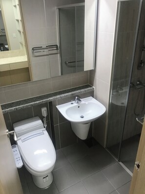 Shower, hair dryer, towels, toilet paper