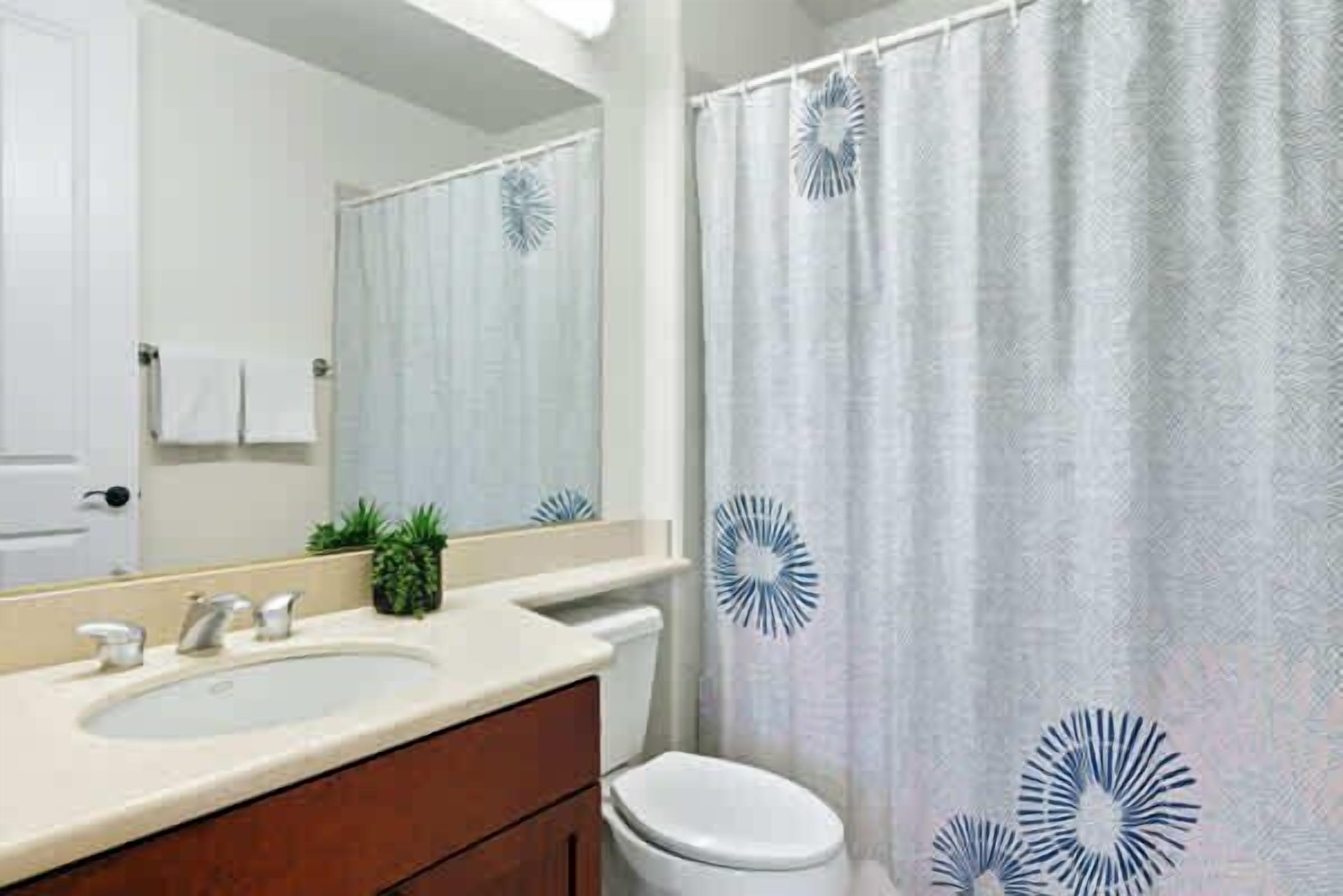 A bathroom with a sink, mirror, and toilet.