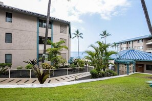 Property grounds - Kona Reef F2 – Charming Oceanfront Condo for 4! (Kailua-Kona)