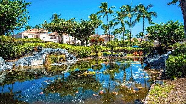 Un resort con un estanque central, palmeras y un edificio de techo con tejas.