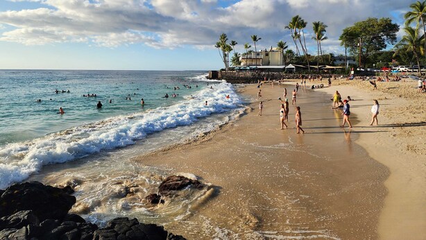 A beach with people swimming and walking on the sand, palm trees, and a building in the background.