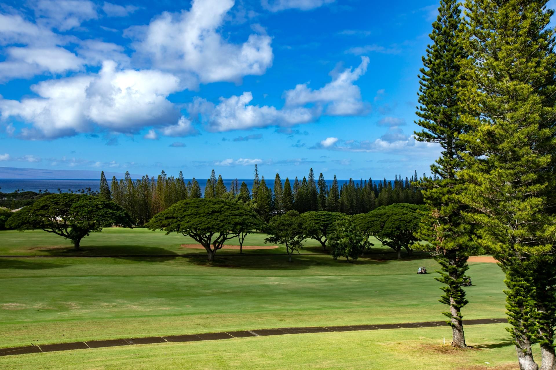 A golf course with a clear view of the ocean and a line of trees in the background.