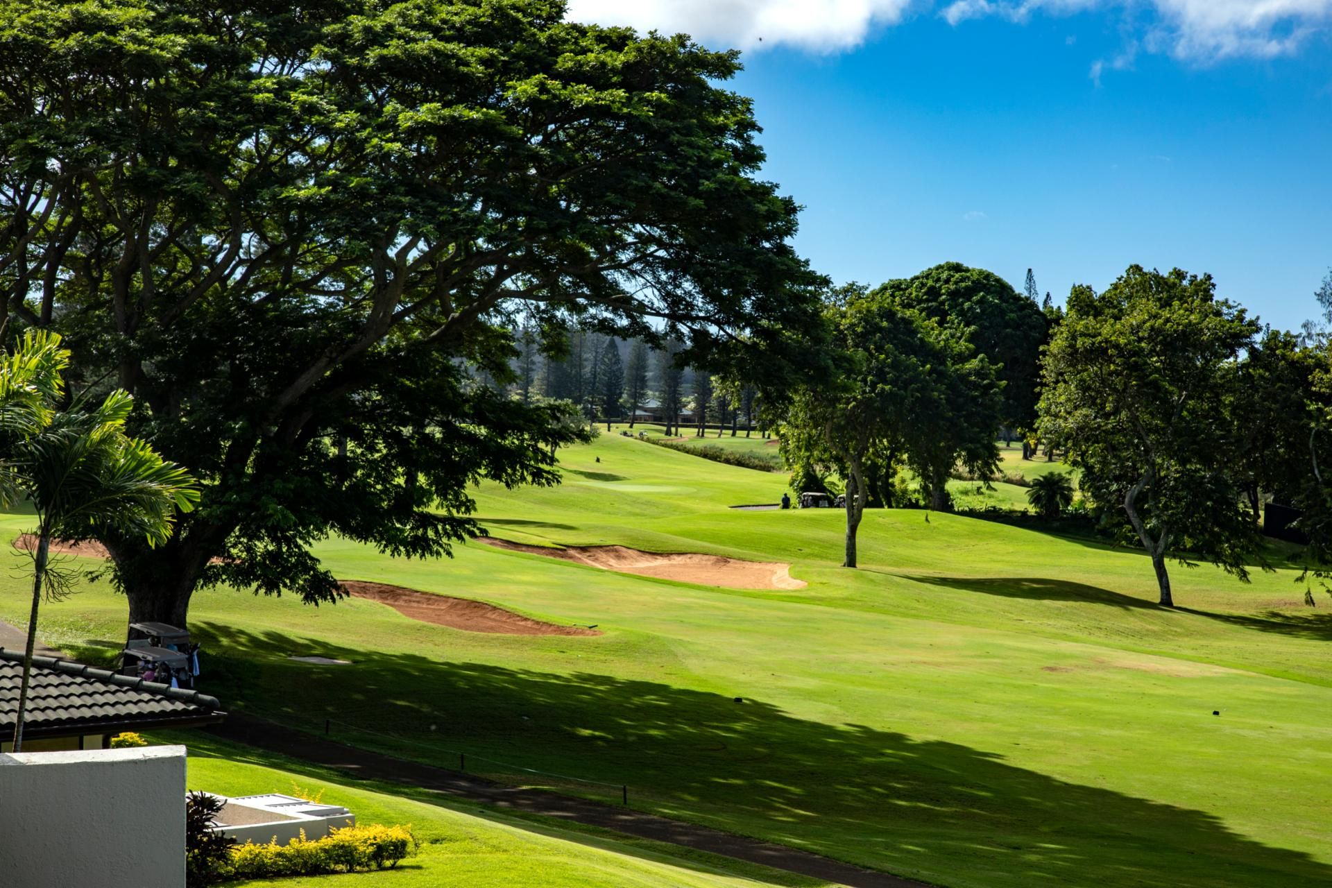 Un terrain de golf avec un grand arbre au premier plan, un ciel bleu dégagé et une pelouse bien entretenue.