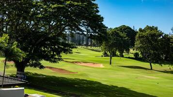 Un terrain de golf avec un grand arbre au premier plan, un ciel bleu dégagé et une pelouse bien entretenue.