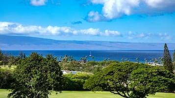 A coastal landscape with a clear view of the ocean, a golf course, and distant mountains.