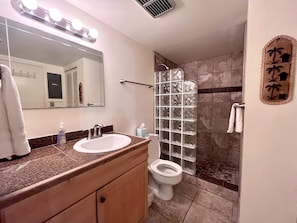 Douche, séchoir à cheveux, serviettes fournies, shampooing
