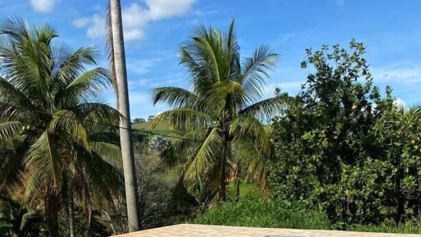 A rectangular swimming pool with clear water, surrounded by palm trees and greenery. - Pousada Usina Paraíso (Astolfo Dutra)