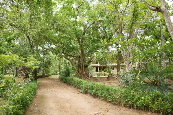Property grounds