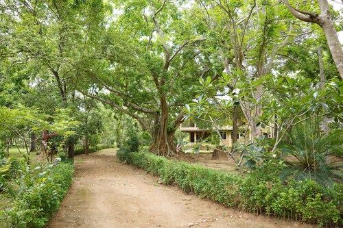 UpiesFolly Lakeside Bungalow