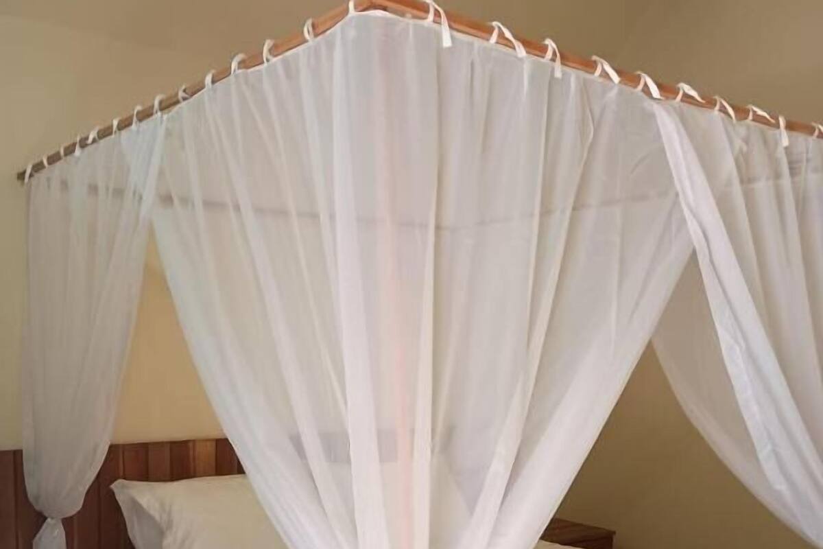 A single bed with a wooden headboard, a wooden bench, and a white canopy.