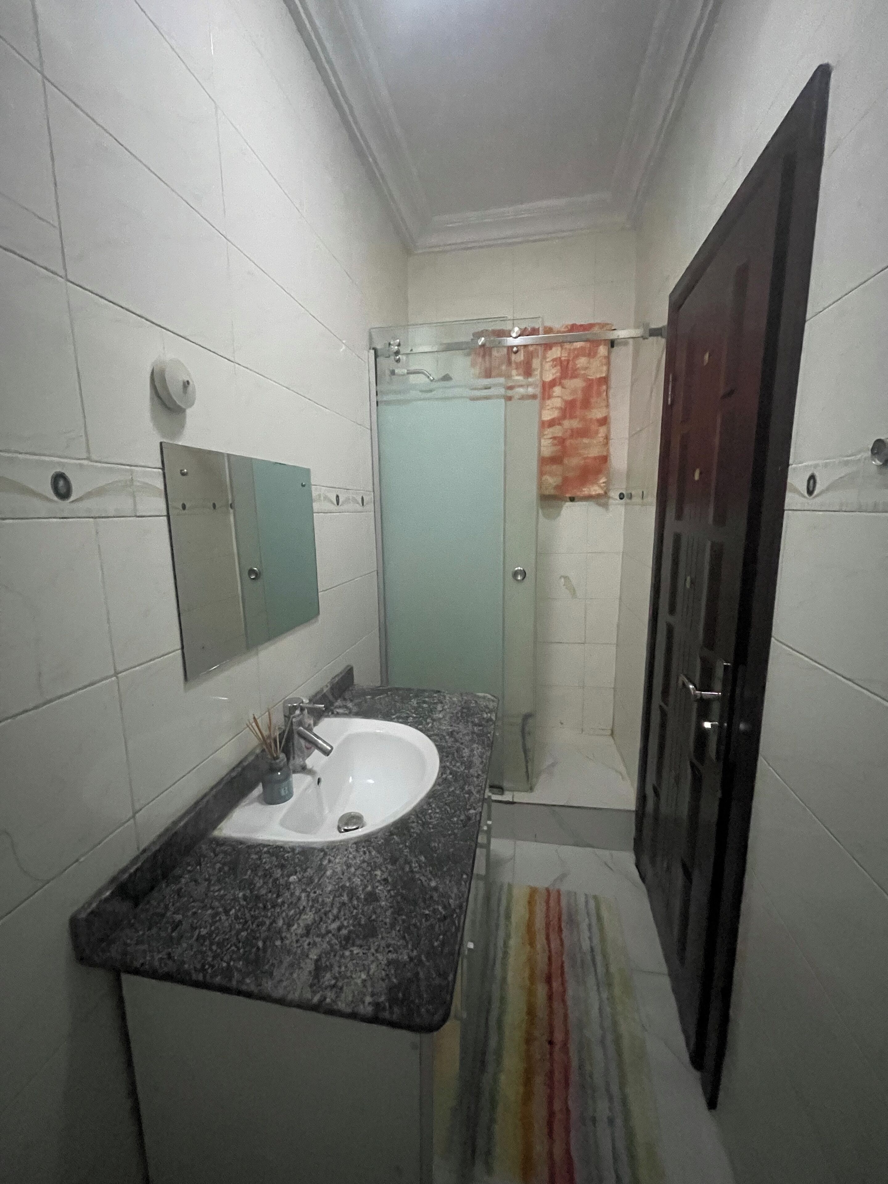 Une salle de bain équipée d’un lavabo, d’un miroir, d’une douche et de toilettes.