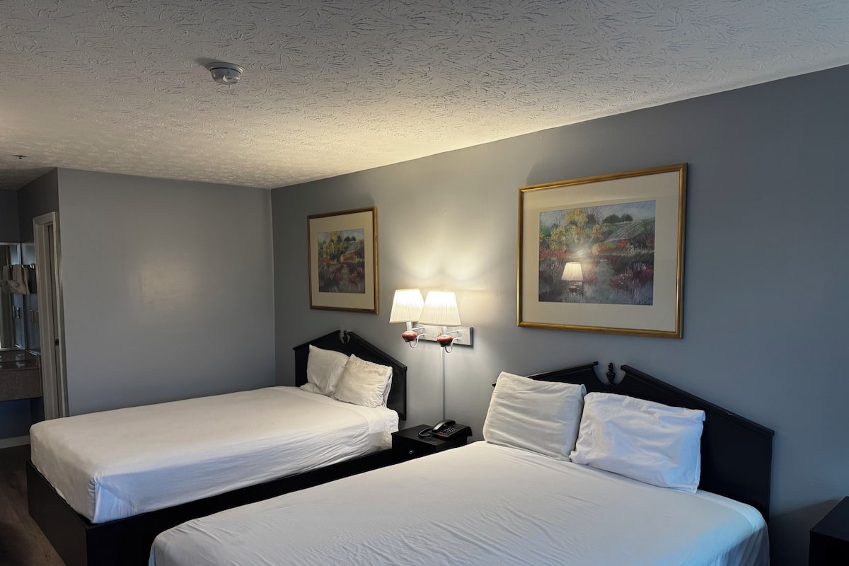Quarto de hotel com duas camas de solteiro, uma mesa de cabeceira com abajur e duas molduras com quadros na parede.