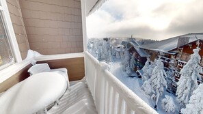 Property grounds - NEW! Allegheny Springs 404 - Brigham One Bedroom Condo (Snowshoe)