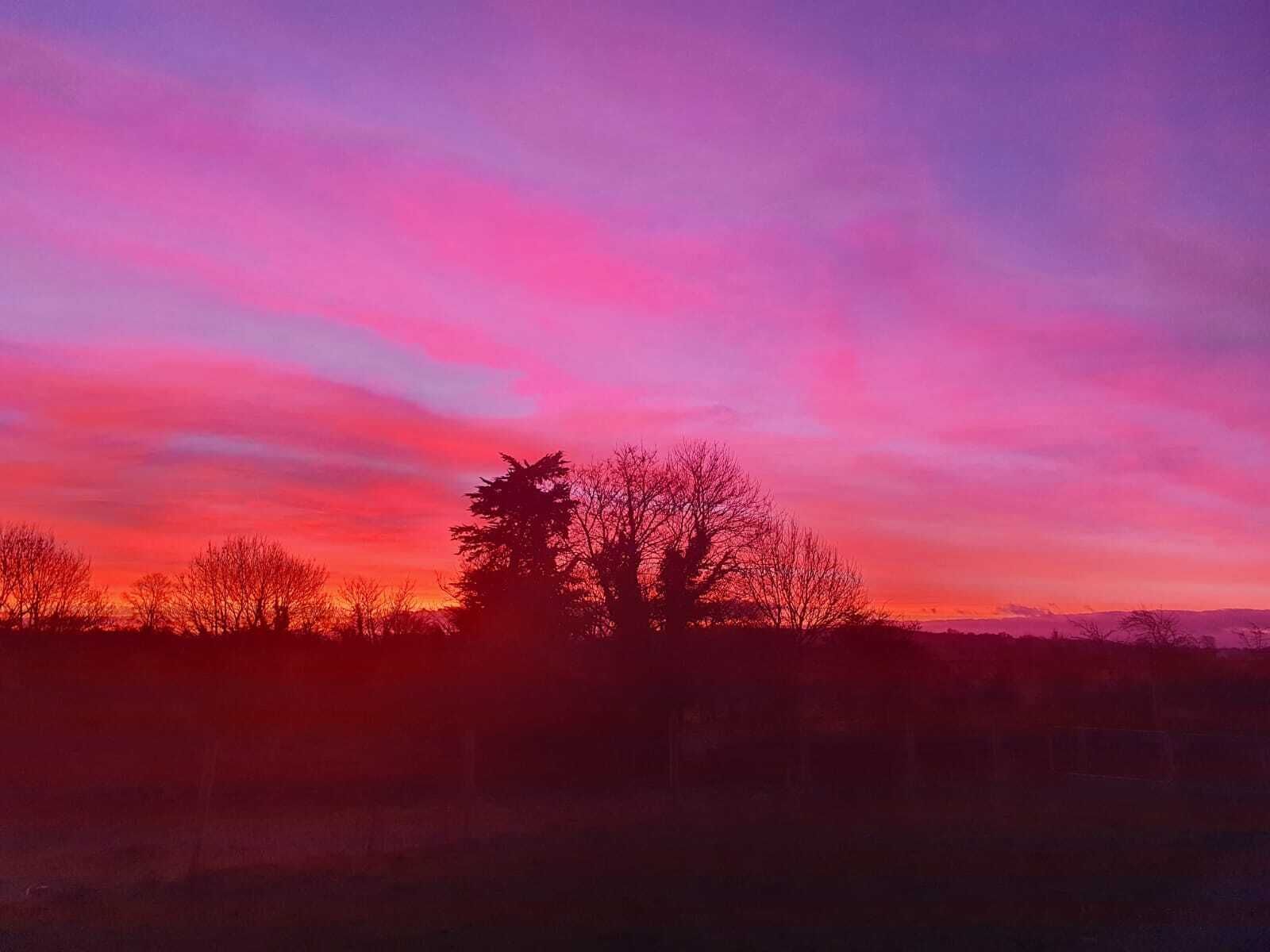 A sunset with a gradient sky and silhouettes of trees.