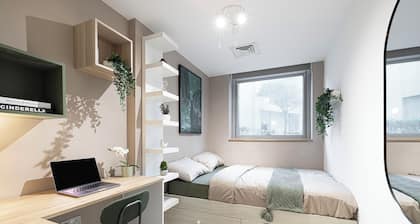 The Luxury Downtown Co-living