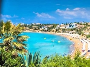 Une vue sur la côte, avec une plage, des palmiers et des bâtiments en arrière-plan.