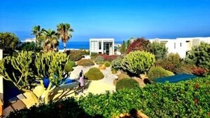 Une propriété située sur la côte, dotée d’une piscine, d’une végétation luxuriante et offrant une vue sur la mer.