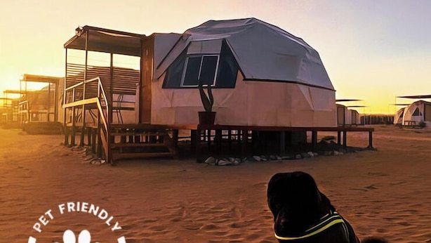 Un lodge sul lungomare che accetta animali, con una grande struttura simile a una tenda, un pontile in legno e una spiaggia sabbiosa.